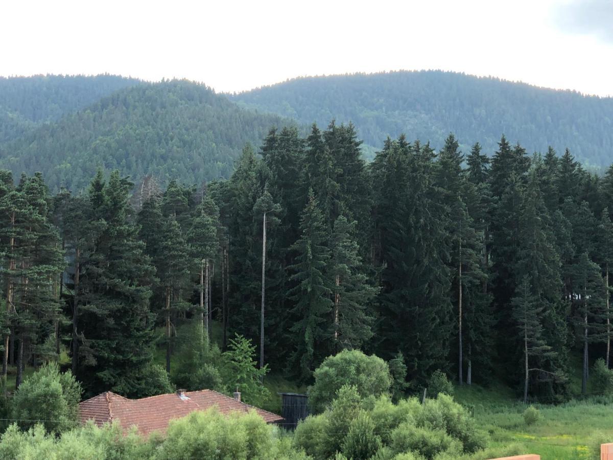 Family Hotel Panorama Syrnica Zewnętrze zdjęcie